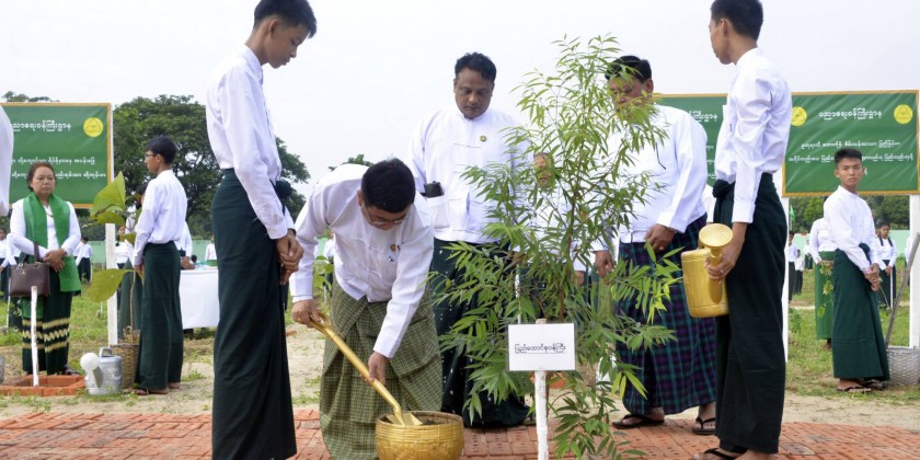 Monsoon Tree Planting: MOE organized a ceremony in Nay Pyi Taw ...