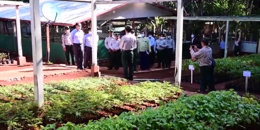 Forest Conservation: MONREC Union Minister inspects forest plantations ...