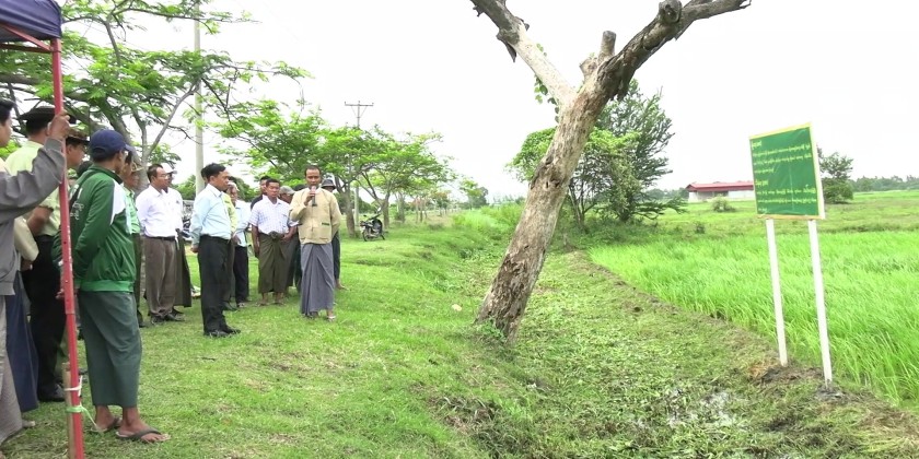 Inspection of rice cultivation field: NPT Council Chairman inspected ...