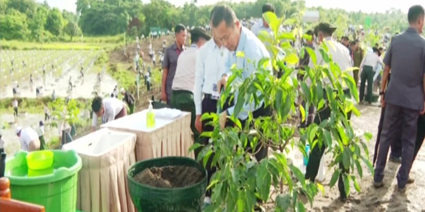 3rd Monsoon Tree Planting Ceremony: PM attends the ceremony and plants ...