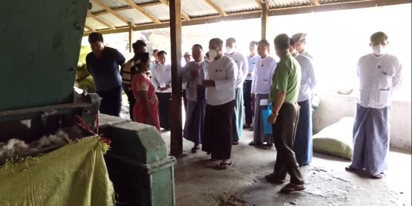 Rural Development: Efforts for cotton cultivation and production ...