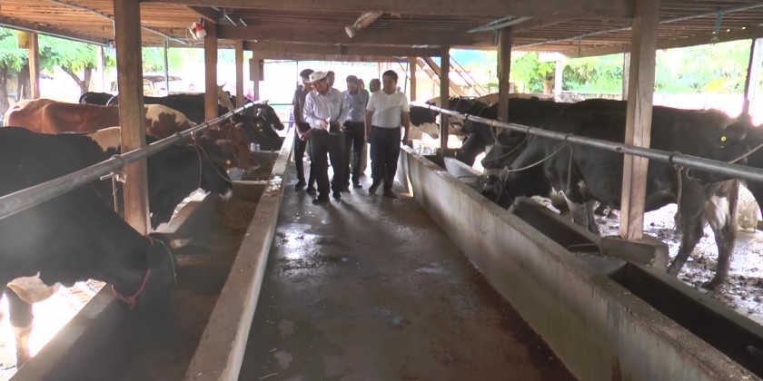 Livestock Sector: MoALI Dy Minister makes inspections in Mandalay ...