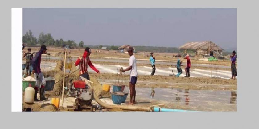 Salt Production in Rakhine: The number of salt farmers has increased to ...
