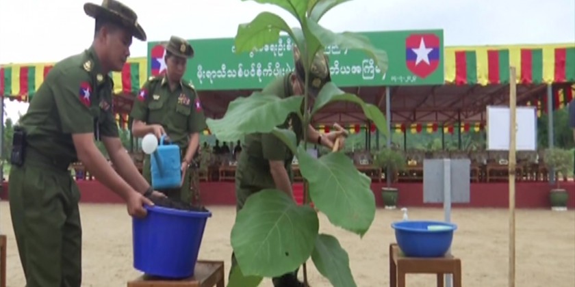Monsoon Tree Planting Ceremony: Senior-General joins the event in Nay ...
