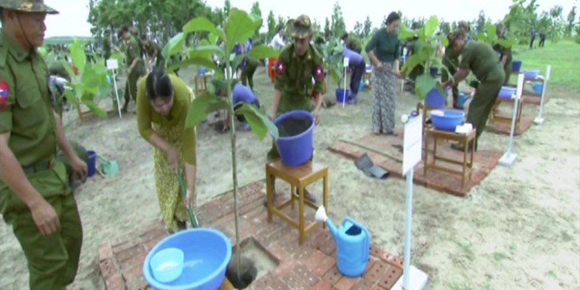 Monsoon Tree Planting Ceremony: Senior-General joins the event in Nay ...