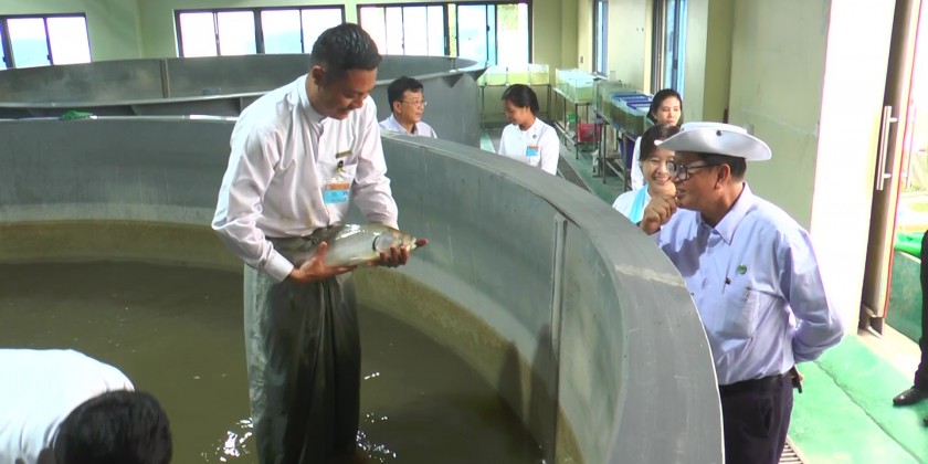 MSMEs Development: MOALI Deputy Minister inspects farming zones in ...