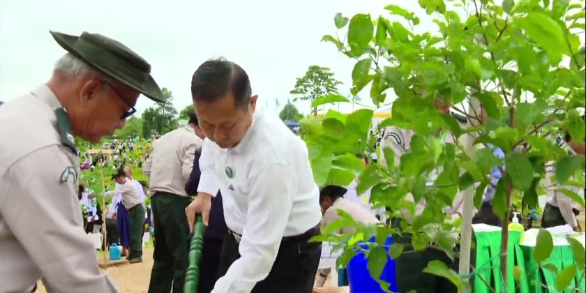 Monsoon Tree Planting Ceremony : SAC Chairman participates in the event ...
