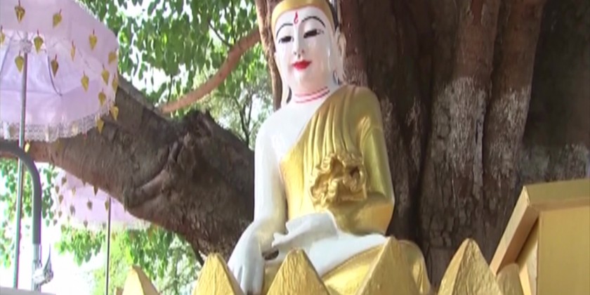 Religious Ceremony: Ceremony of pouring water on banyan trees | Myanmar ...
