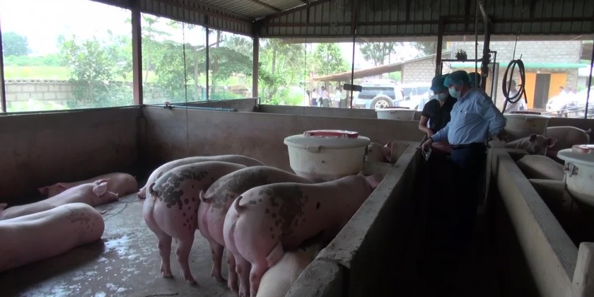 Inspection of farms: MoALI DM inspected farms in Shan State (South ...