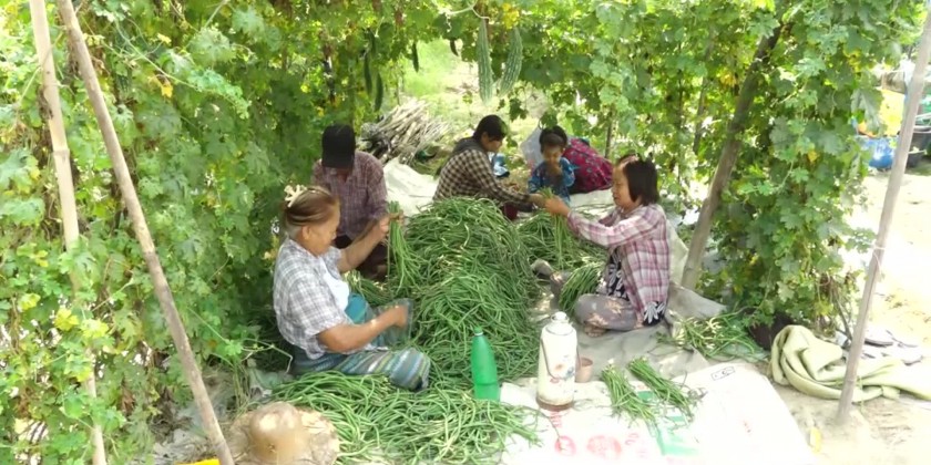 Rural Development: Transforming Yemon Village into a smart hub of ...