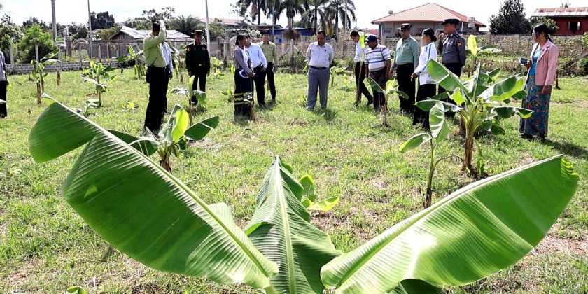 Work Undertakings : Efforts for food sufficiency and development ...