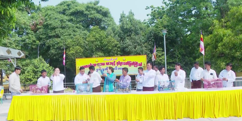 Merit-Making Ceremony : Releasing fish and birds as merit-making ...