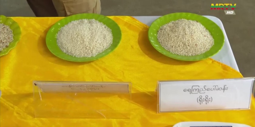 Rice Export: Myanmar plans to export million tons of rice | Myanmar ...