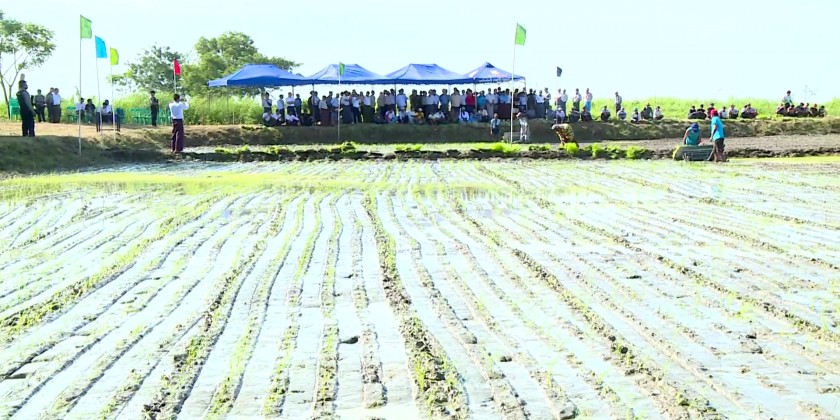 Agriculture Sector: Field demonstration of cultivation with hand ...