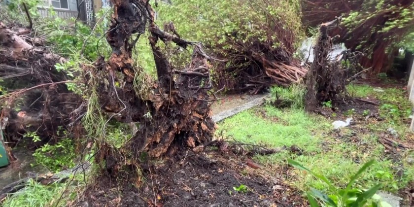 Thousands evacuated as Typhoon Haikui heads for Chinese Taipei ...
