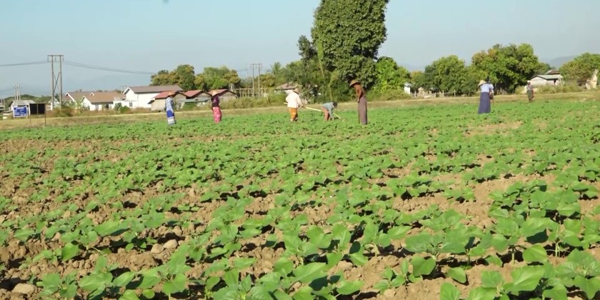Integrated Farming Project: MCRD UM inspected integrated farming ...