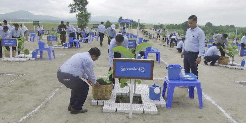 Effort for Green: MoALI UM joined the tree planting ceremony | Myanmar ...