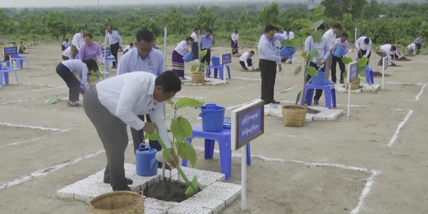 Effort for Green: MoALI UM joined the tree planting ceremony | Myanmar ...