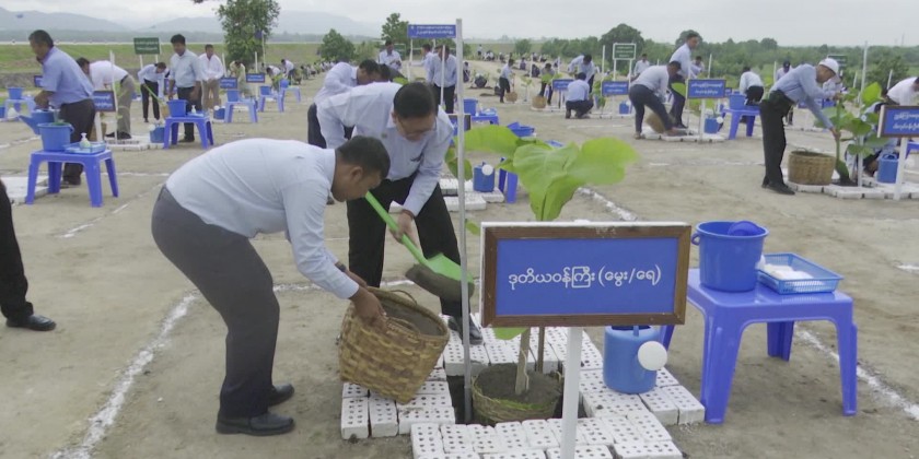 Effort for Green: MoALI UM joined the tree planting ceremony | Myanmar ...