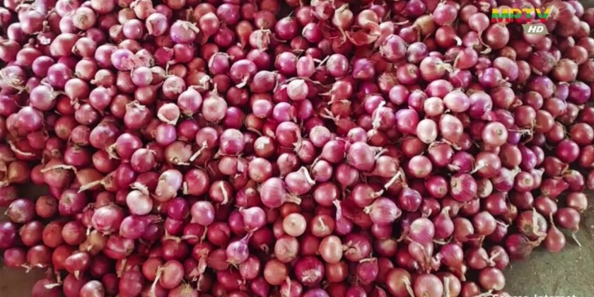 Onion Market: Local onions are still a good price | Myanmar ...