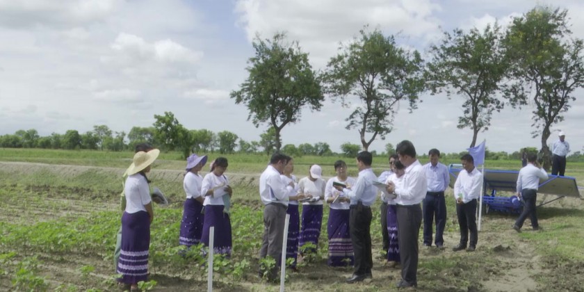 Agricultural Sector: MoALI Union Minister inspected cotton experimental ...