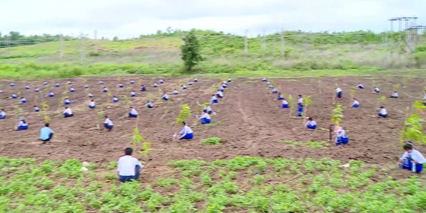 Monsoon Tree Planting Event: MOEP plants over 13,000 mango saplings ...