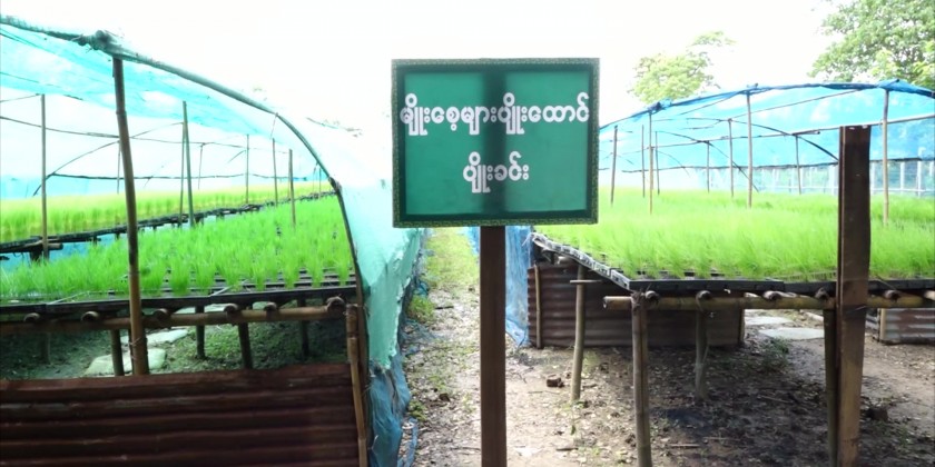 Rural Development: Union Minister makes inspections in Bago Region ...