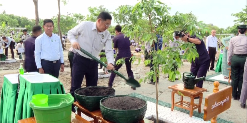 Monsoon Tree Planting Ceremony: President participates in tree planting ...