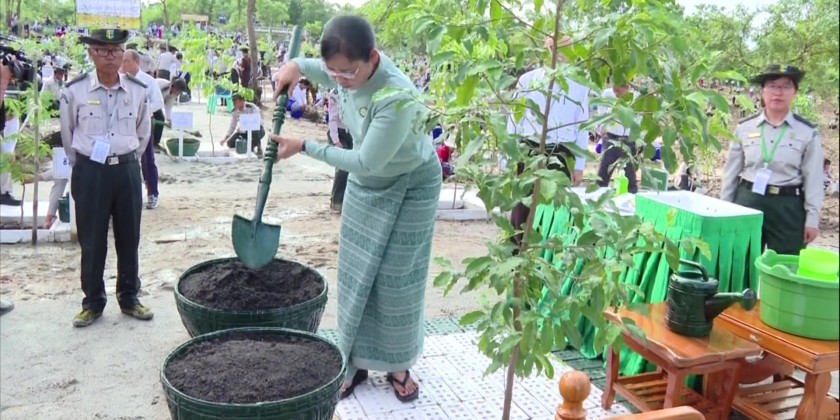 Monsoon Tree Planting Ceremony: President participates in tree planting ...