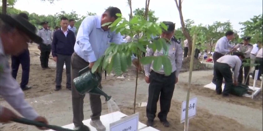 Monsoon Tree Planting Ceremony: President participates in tree planting ...