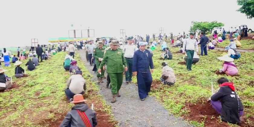 Monsoon Tree Planting : Collective tree planting held in Hopong ...