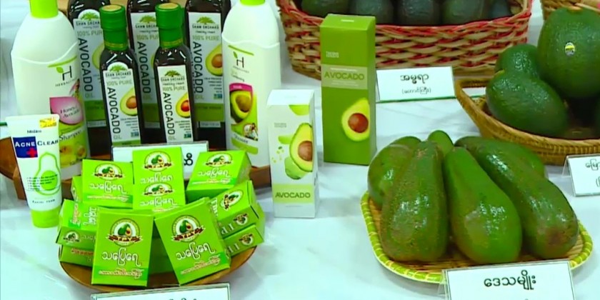 Avocado Export: Efforts to increase Myanmar’s avocado export | Myanmar ...