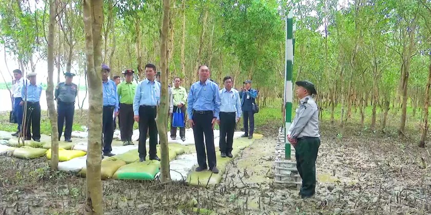 Inspection of Mangrove Plantations: MoNREC UM inspected mangrove ...