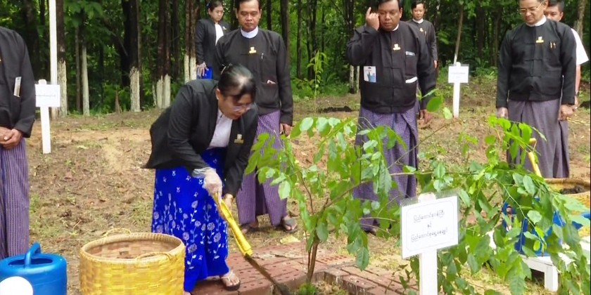 Monsoon tree planting: MoLA organized monsoon tree planting ceremony ...