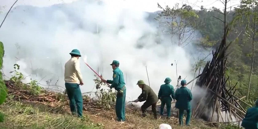 Forest fire prevention | Myanmar International TV