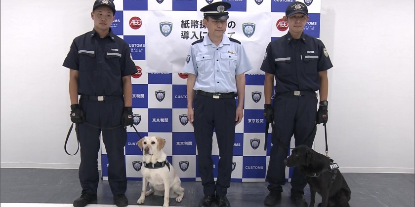 Japan introduces dogs to sniff out illegal cash at airports | Myanmar ...