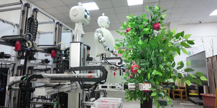 China unveils an innovative apple-picking robot | Myanmar International TV