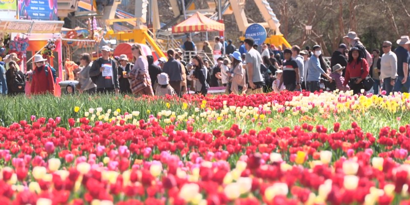 Australia’s biggest celebration of spring kicks off in Canberra ...