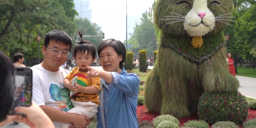 Cat-shaped floral installations bring fresh visitor experience in ...