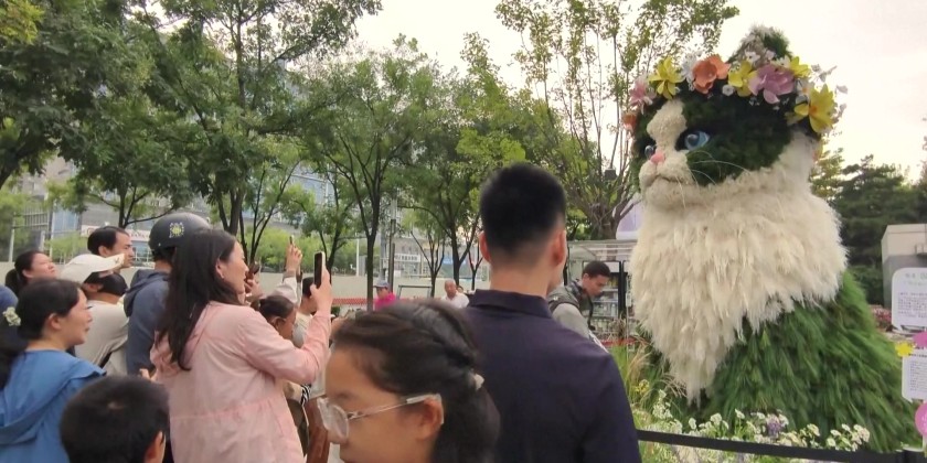 Cat-shaped floral installations bring fresh visitor experience in ...