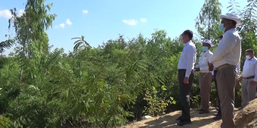 Efforts for Greening: MoNREC Union Minister inspected forest ...