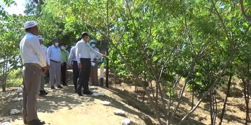 Efforts for Greening: MoNREC Union Minister inspected forest ...