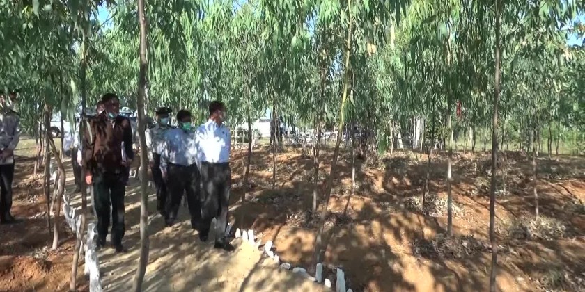Efforts for Greening: MoNREC Union Minister inspected forest ...