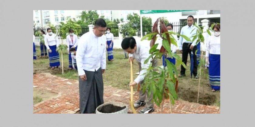 Monsoon tree planting: Ministry of Labour organizes the ceremony ...