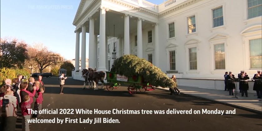 First Lady welcomes White House Christmas tree | Myanmar International TV
