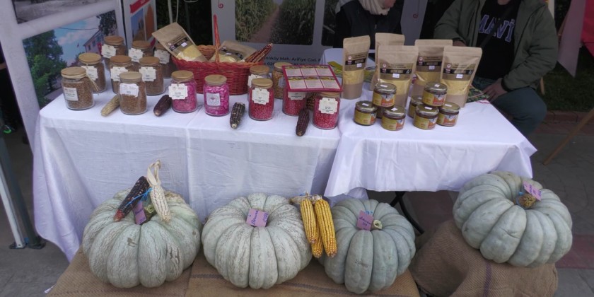 Gabak festival showcases pumpkin culinary culture | Myanmar ...