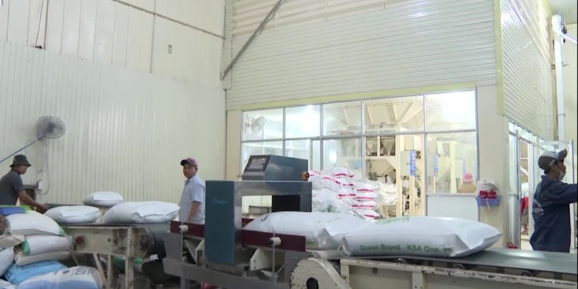 A competitive advantage for Viet Nam rice industry’s green rice ...