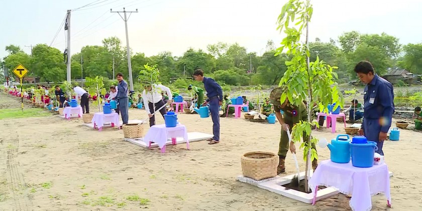 Monsoon Tree Planting Ceremonies: Over 3,900 saplings planted in ...