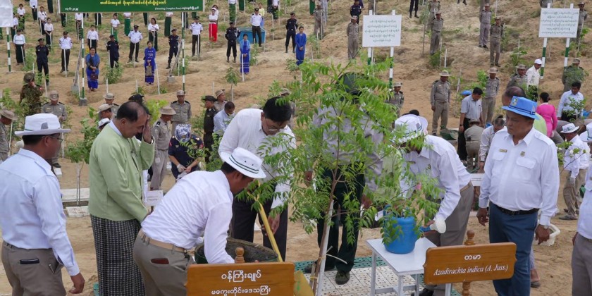 Tree Planting Ceremony: 675 saplings planted in Magway Region | Myanmar ...