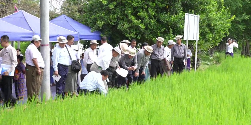 Inspection of Agricultural Development: MGY Region CM inspected ...